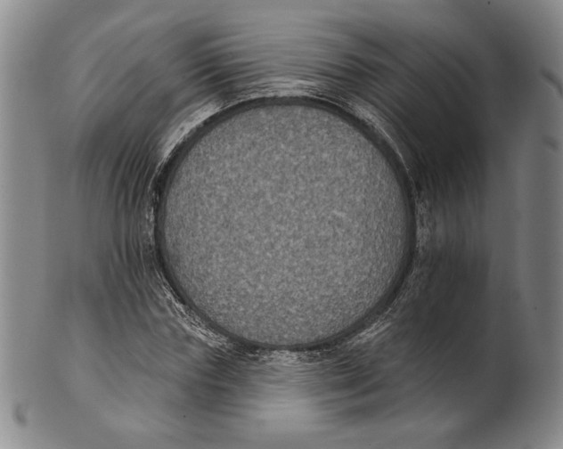 X0000101970827200808081549