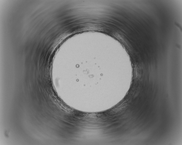 X0000101970828200808081549