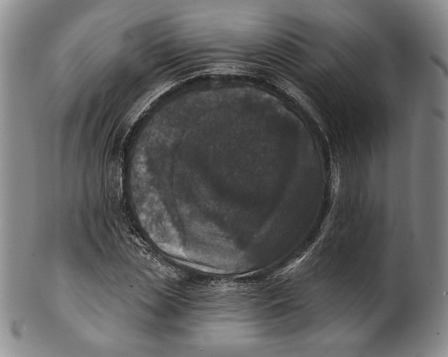 X0000101970829200808081549