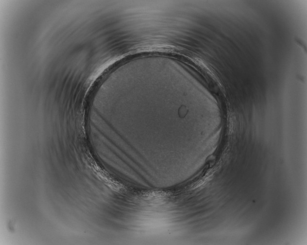 X0000101970830200808081549