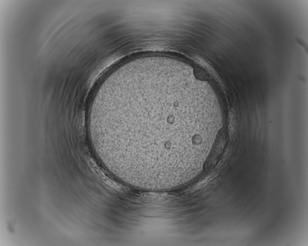 X0000101970831200808081549