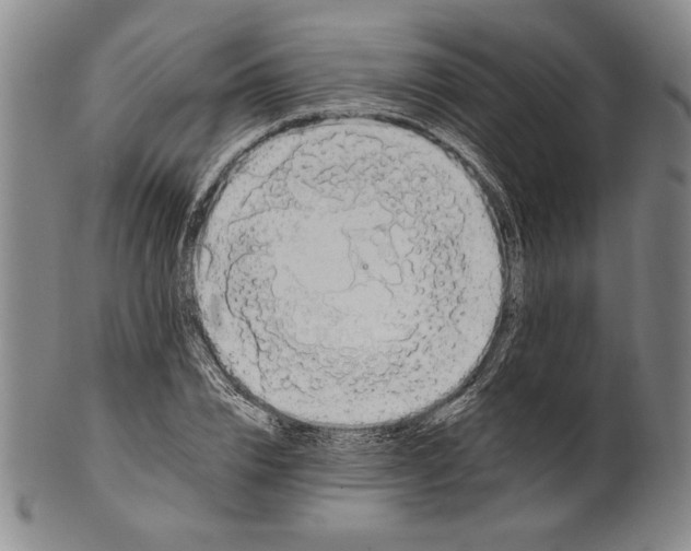 X0000101970832200808081549