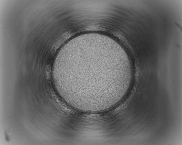 X0000101970833200808081549