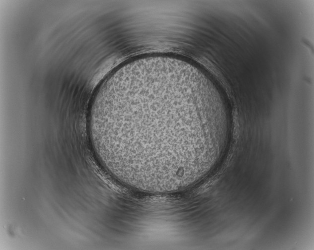 X0000101970834200808081549