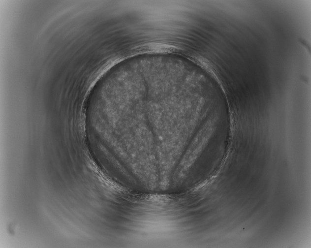 X0000101970835200808081549