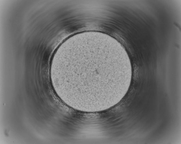 X0000101970836200808081549