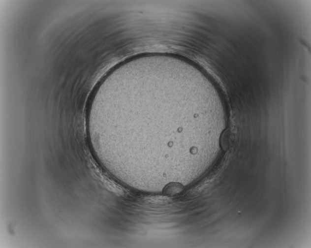 X0000101970837200808081549