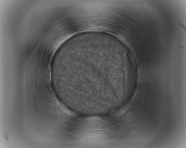 X0000101970838200808081549