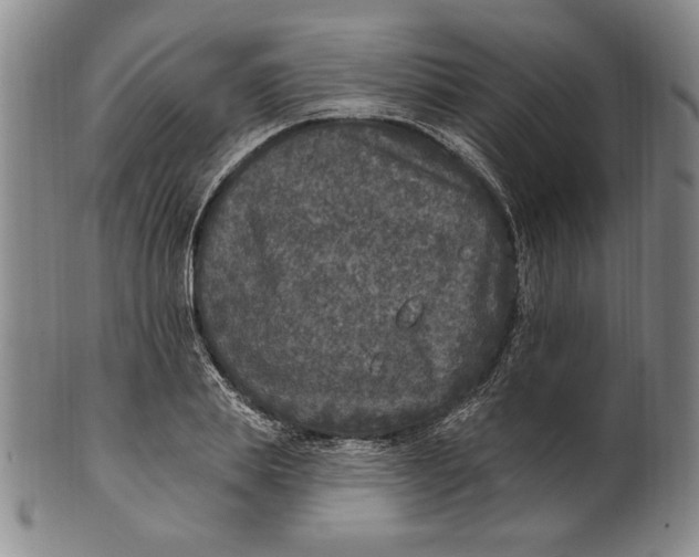 X0000101970839200808081549