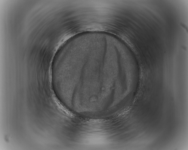 X0000101970840200808081549