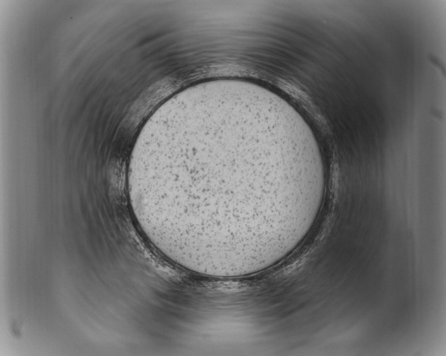 X0000101970841200808081549