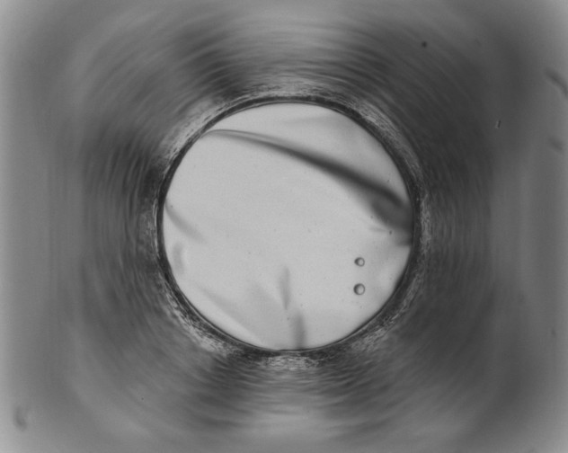 X0000101970842200808081549