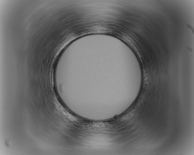 X0000101970843200808081549