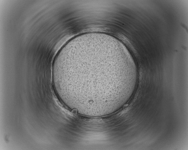 X0000101970844200808081549