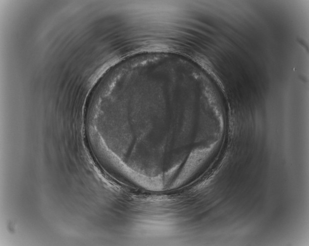 X0000101970845200808081549