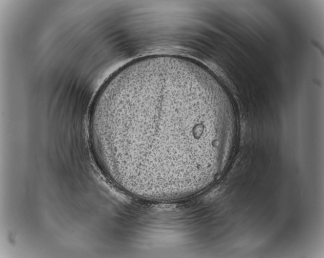 X0000101970846200808081549