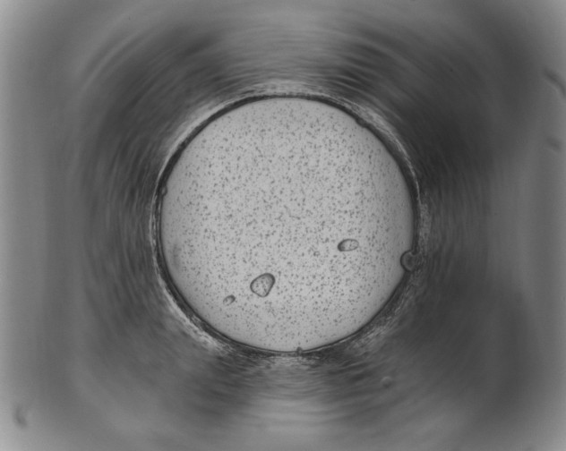 X0000101970847200808081549