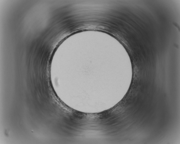 X0000101970848200808081549