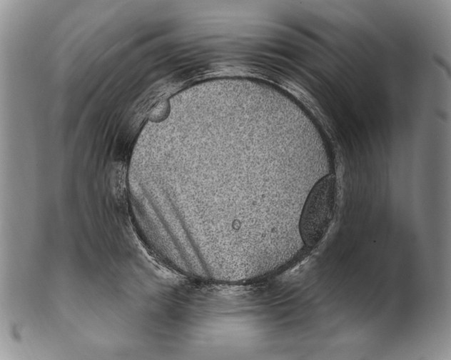 X0000101970849200808081549