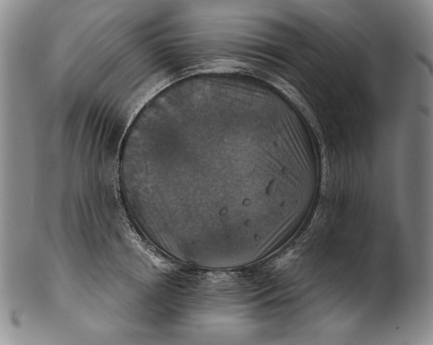 X0000101970850200808081549