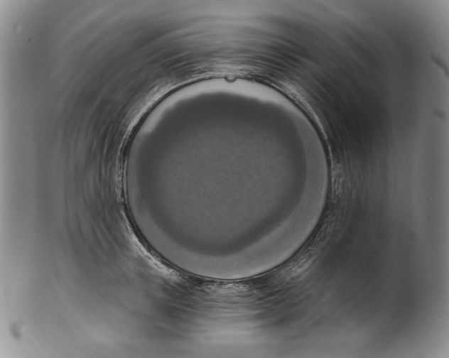 X0000101970851200808081549