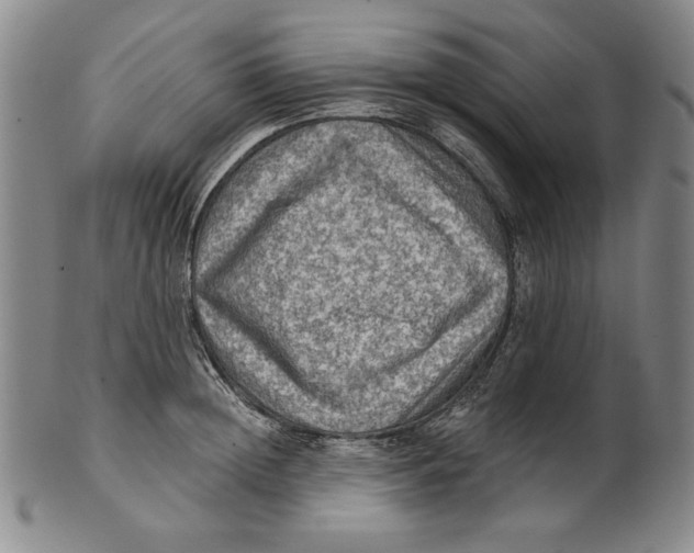 X0000101970852200808081549