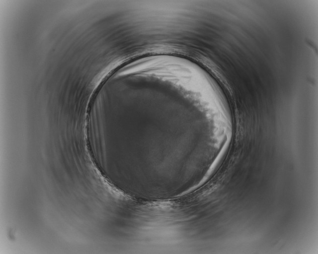 X0000101970853200808081549