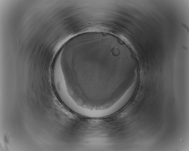 X0000101970854200808081549