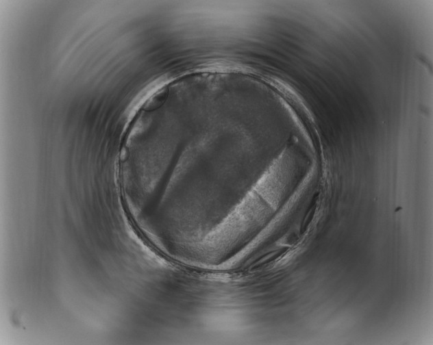 X0000101970855200808081549