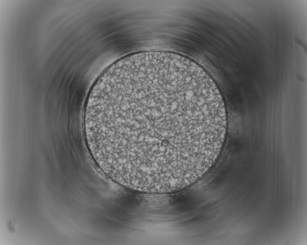 X0000101970856200808081549