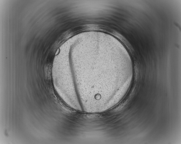 X0000101970857200808081549