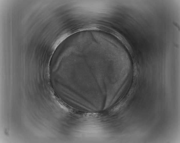 X0000101970858200808081549