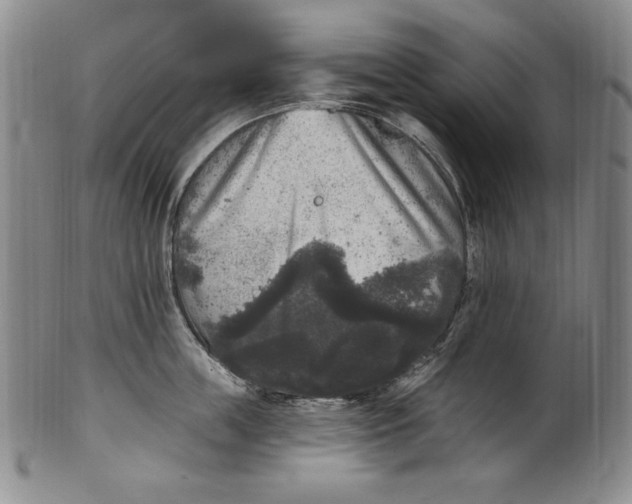 X0000101970859200808081549