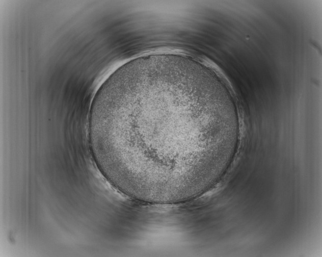 X0000101970860200808081550