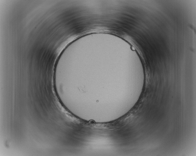 X0000101970861200808081550