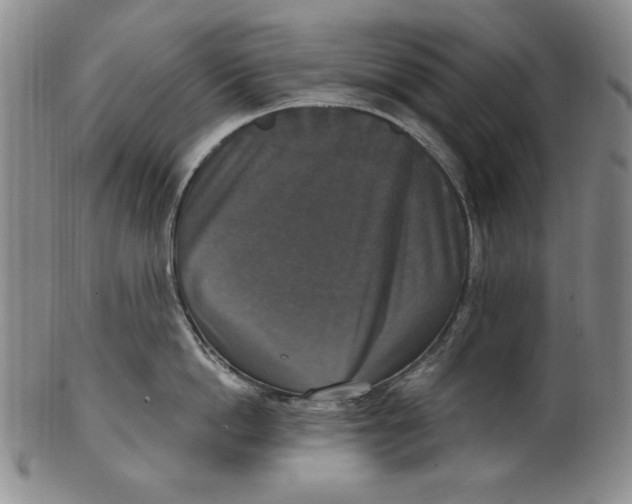 X0000101970862200808081550