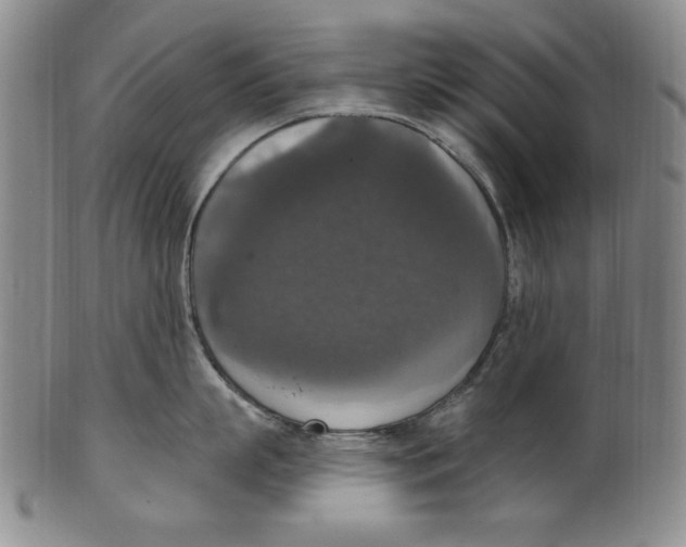 X0000101970863200808081550