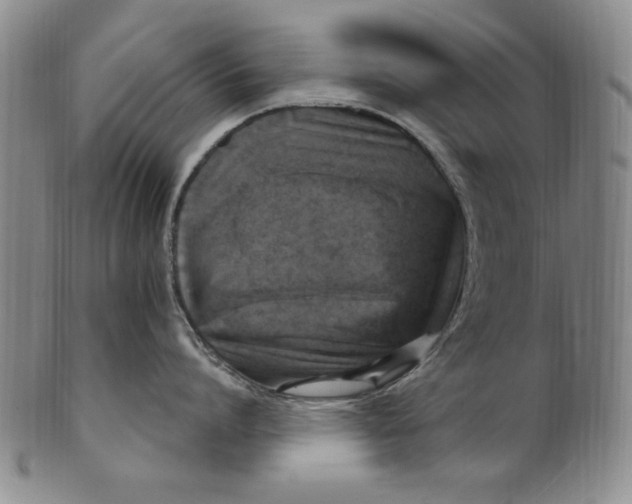 X0000101970864200808081550