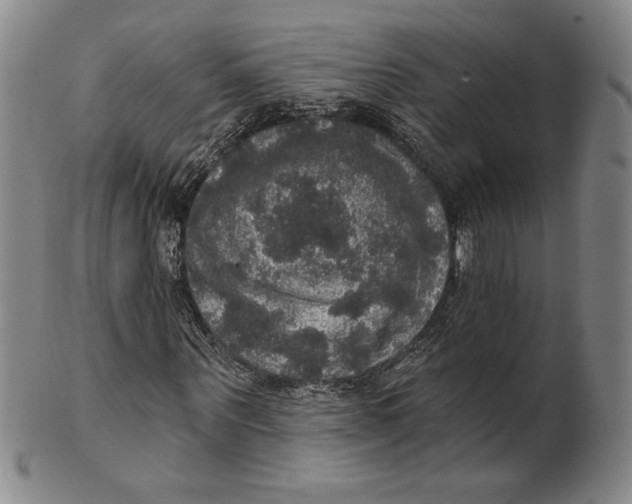 X0000101970867200808081549