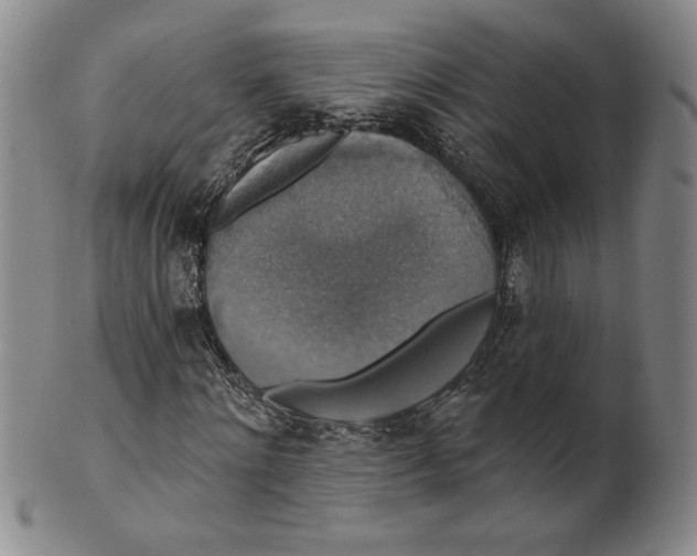 X0000101970868200808081549