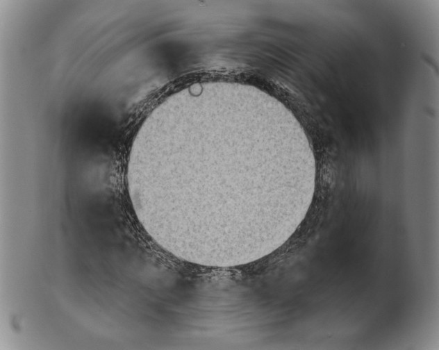 X0000101970869200808081549