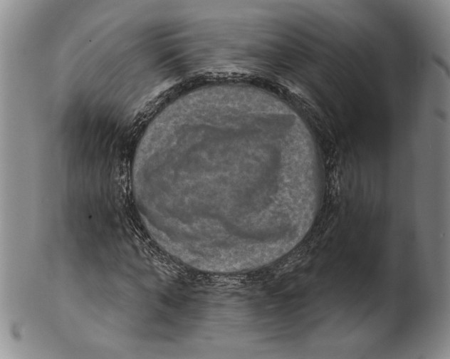 X0000101970870200808081549