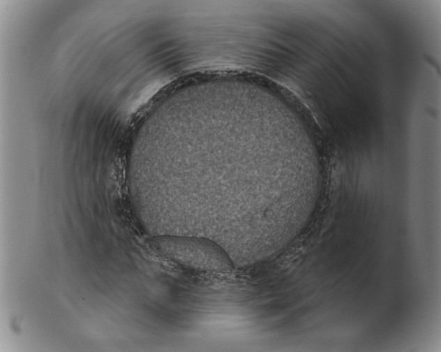 X0000101970871200808081549