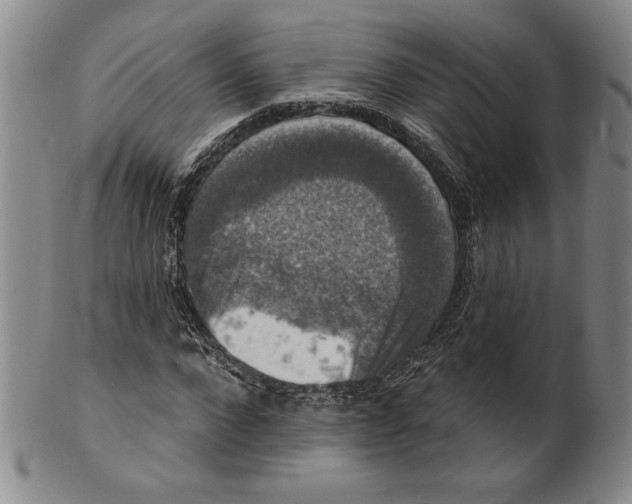 X0000101970872200808081549