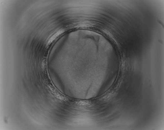 X0000101970874200808081549