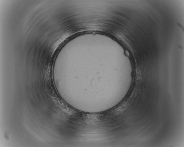 X0000101970875200808081549