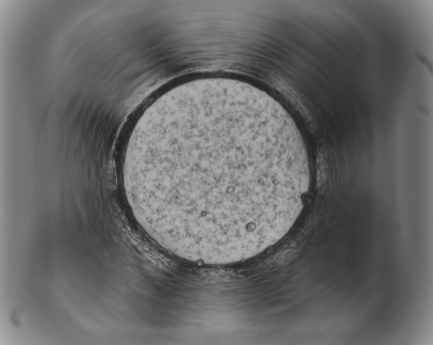 X0000101970876200808081549