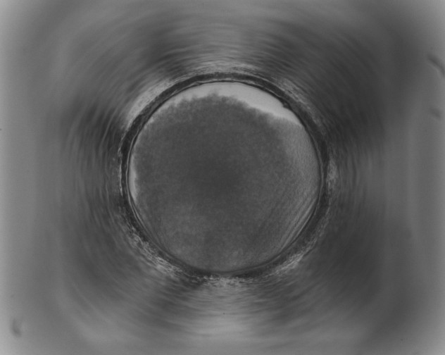 X0000101970877200808081549