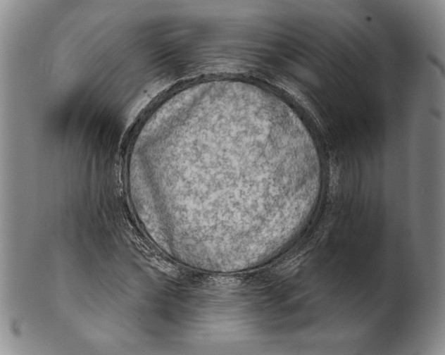 X0000101970878200808081549