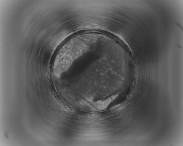 X0000101970879200808081549